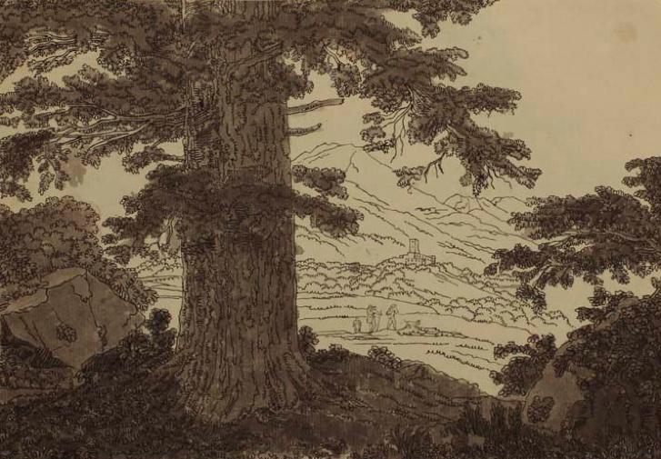 Preziose carte. Leggere il Paesaggio “Pietro Nobile e i disegni della natura”